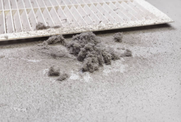 Best Ventilation Cleaning Services  in Ladd, IL