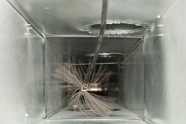 Best Local Air Duct Cleaning Services  in Ladd, IL