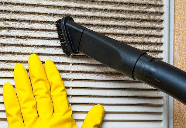 Best Home Air Vent Cleaning  in Ladd, IL