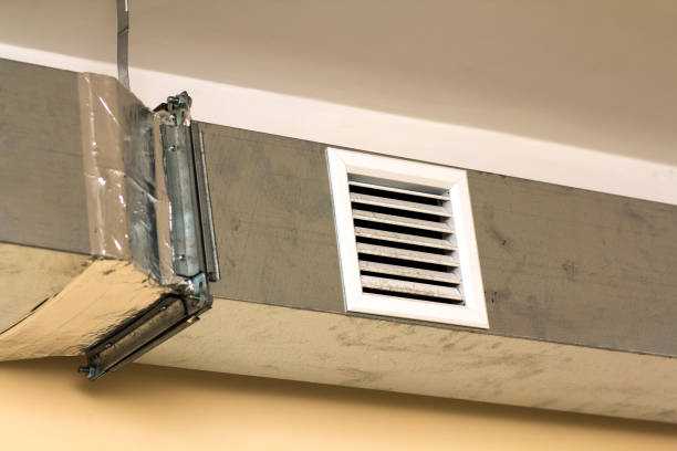 Best Residential Air Duct Cleaning  in Ladd, IL